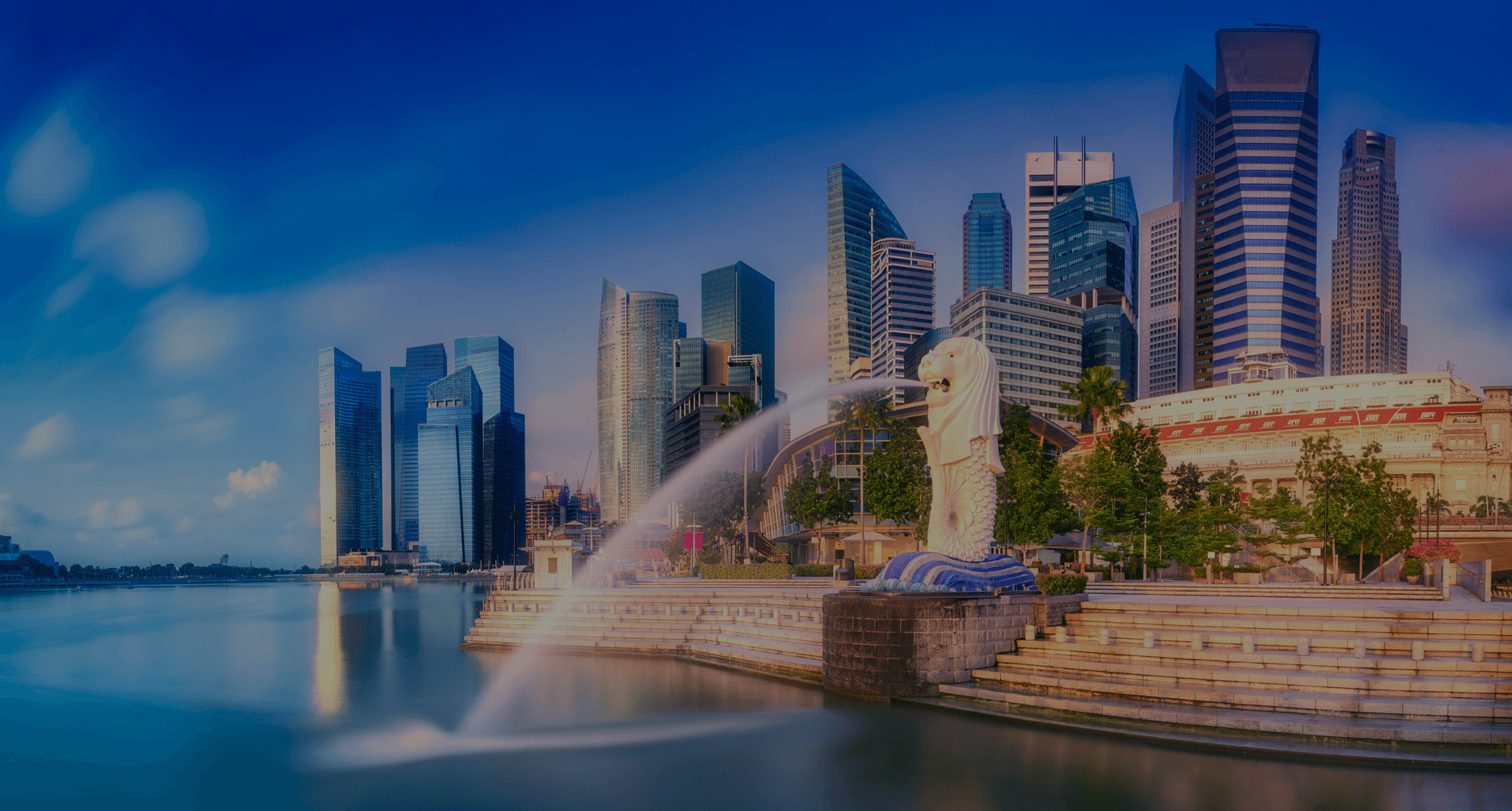 visit visa singapore apply online